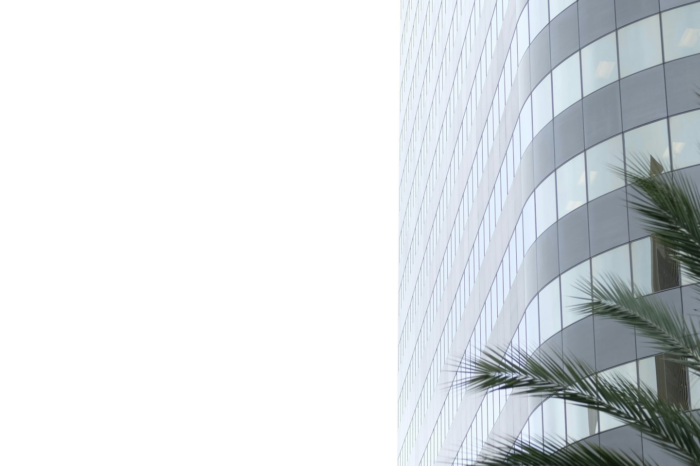 Reflective glass windows of a modern office building with palm fronds.