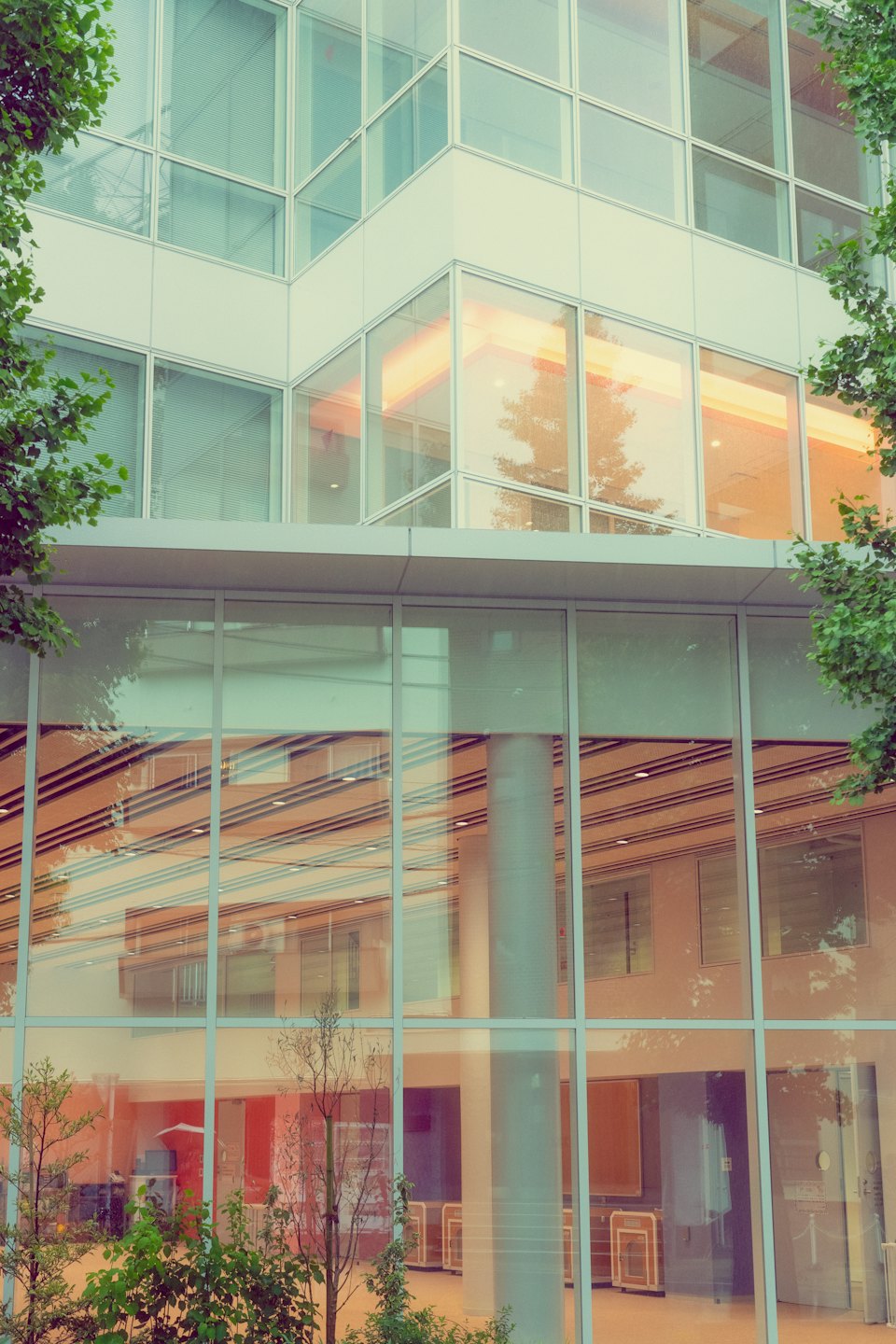 Modern glass corporate building surrounded by green trees.